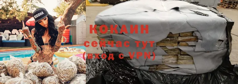 Cocaine Перу  Шадринск 